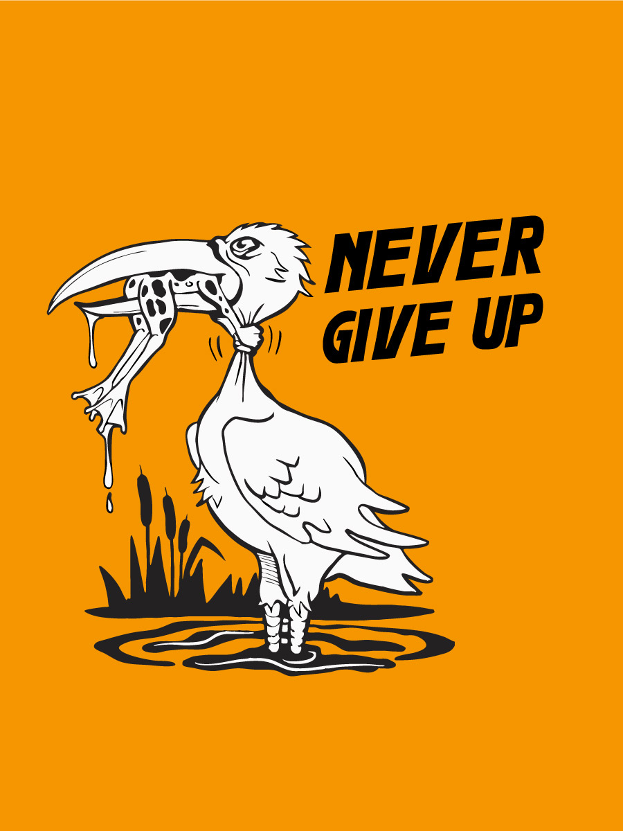 Never Give Up